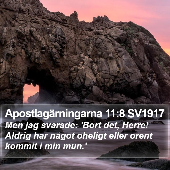 Apostlagärningarna 11:8 SV1917 Bible Study