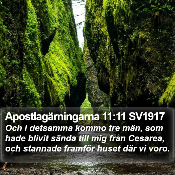 Apostlagärningarna 11:11 SV1917 Bible Study