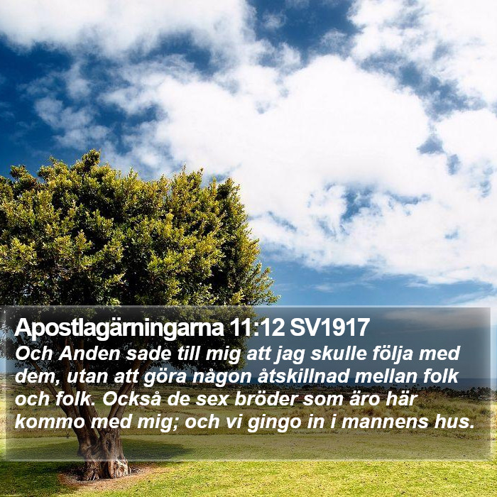 Apostlagärningarna 11:12 SV1917 Bible Study