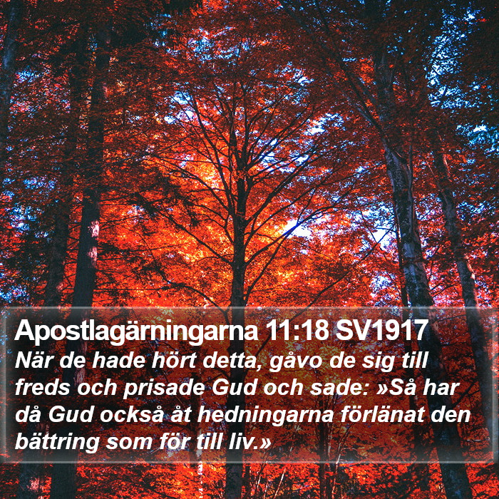 Apostlagärningarna 11:18 SV1917 Bible Study