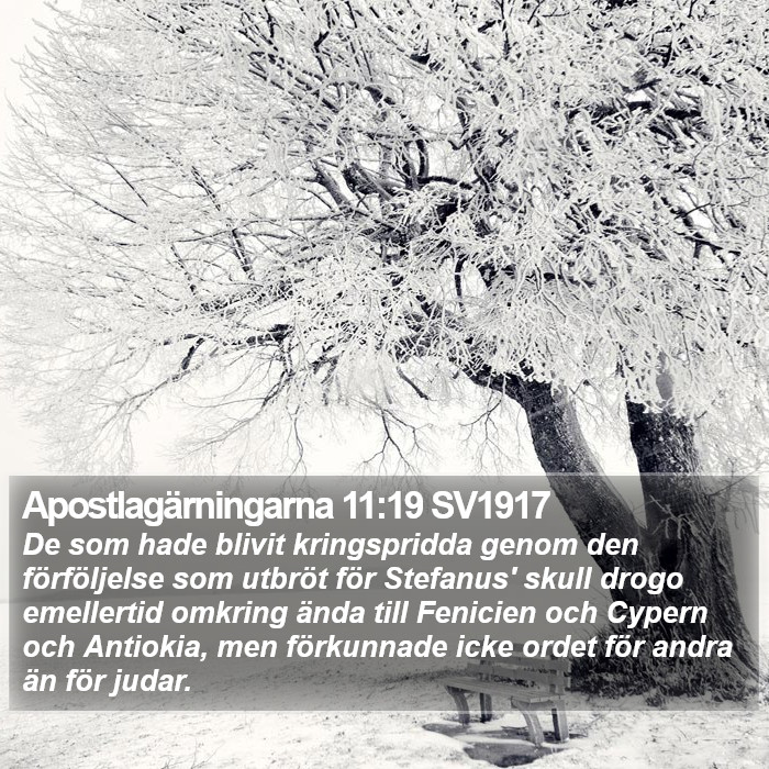 Apostlagärningarna 11:19 SV1917 Bible Study