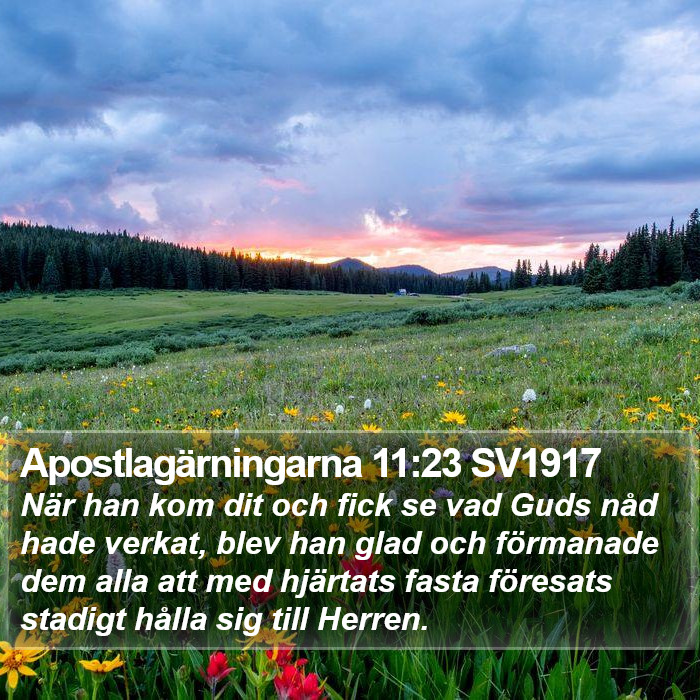 Apostlagärningarna 11:23 SV1917 Bible Study