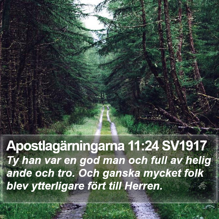 Apostlagärningarna 11:24 SV1917 Bible Study