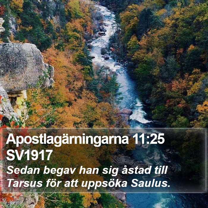 Apostlagärningarna 11:25 SV1917 Bible Study