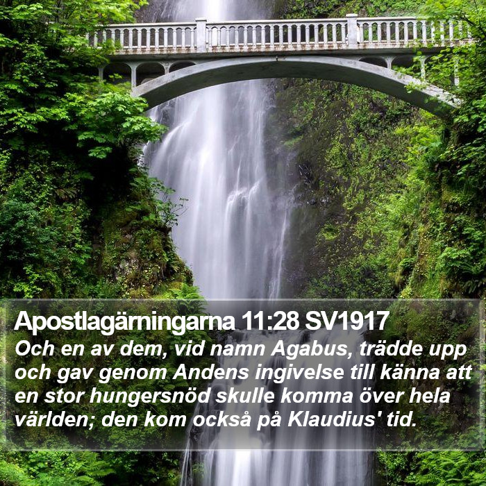 Apostlagärningarna 11:28 SV1917 Bible Study