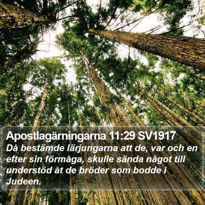 Apostlagärningarna 11:29 SV1917 Bible Study