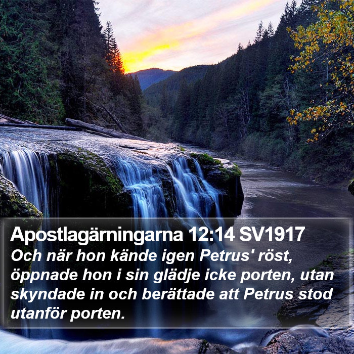 Apostlagärningarna 12:14 SV1917 Bible Study