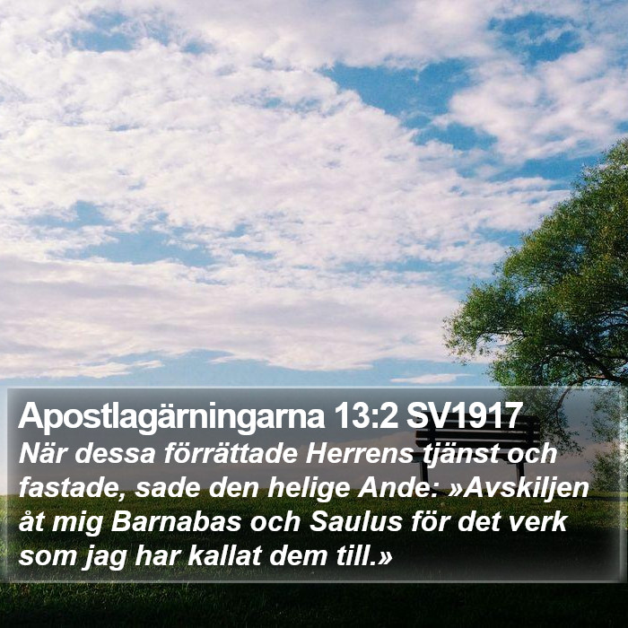 Apostlagärningarna 13:2 SV1917 Bible Study