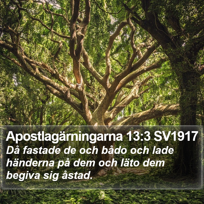 Apostlagärningarna 13:3 SV1917 Bible Study