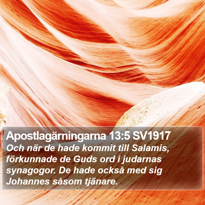 Apostlagärningarna 13:5 SV1917 Bible Study