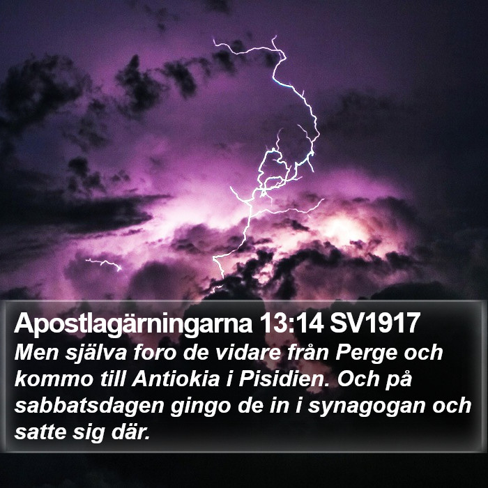 Apostlagärningarna 13:14 SV1917 Bible Study