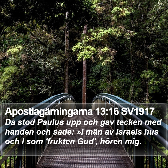 Apostlagärningarna 13:16 SV1917 Bible Study