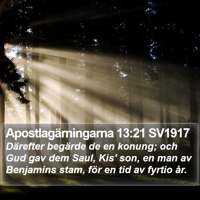 Apostlagärningarna 13:21 SV1917 Bible Study