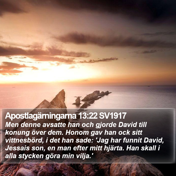 Apostlagärningarna 13:22 SV1917 Bible Study