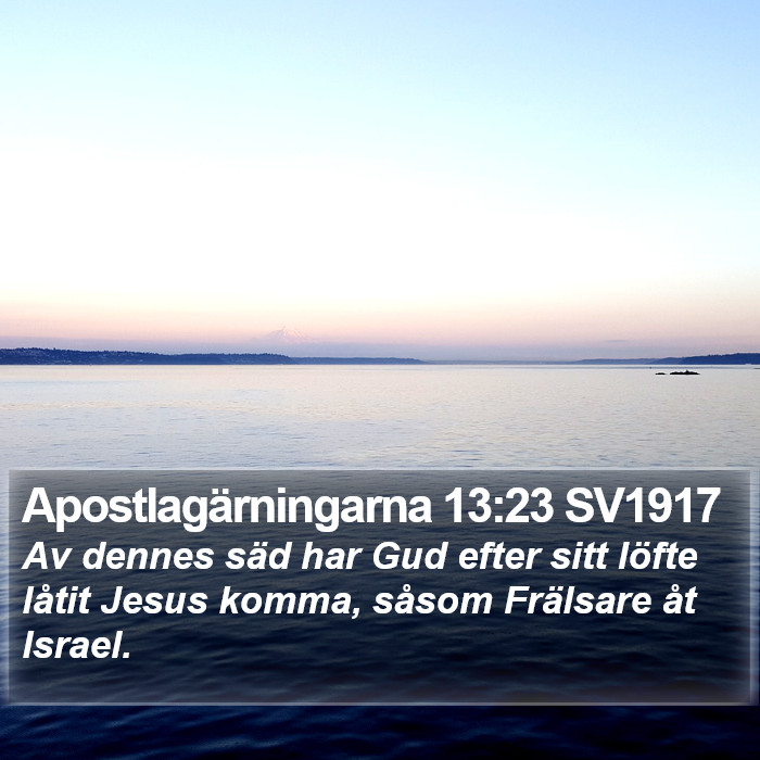 Apostlagärningarna 13:23 SV1917 Bible Study