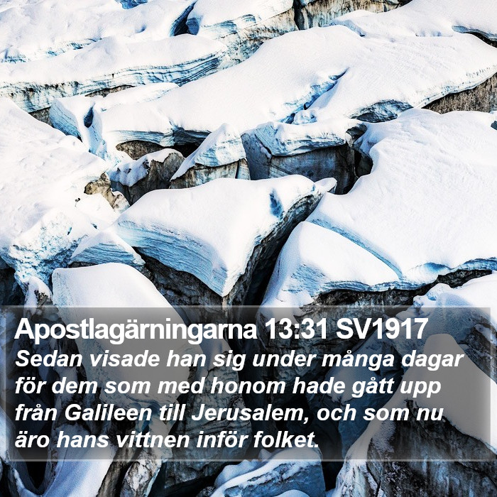 Apostlagärningarna 13:31 SV1917 Bible Study