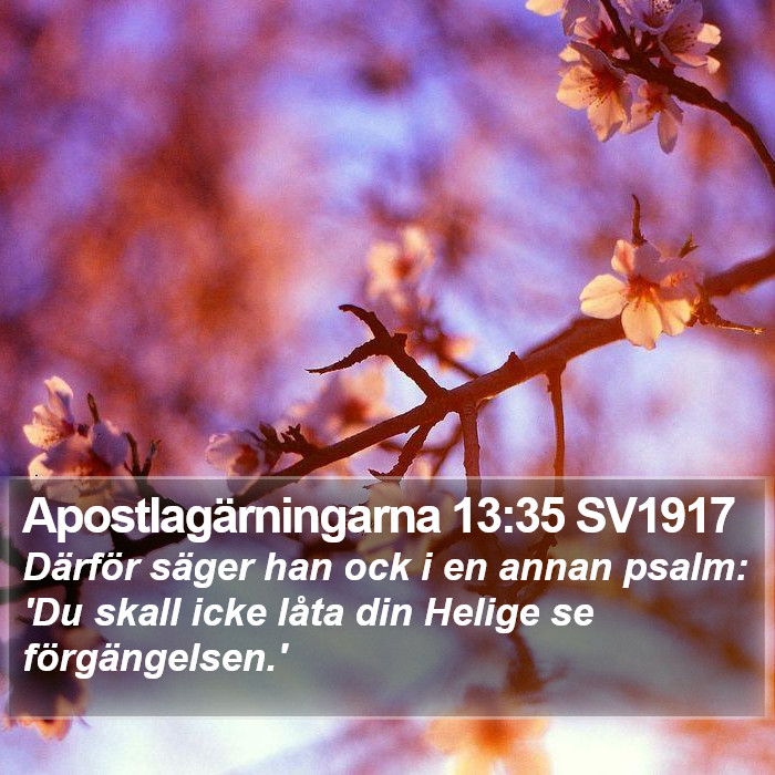 Apostlagärningarna 13:35 SV1917 Bible Study