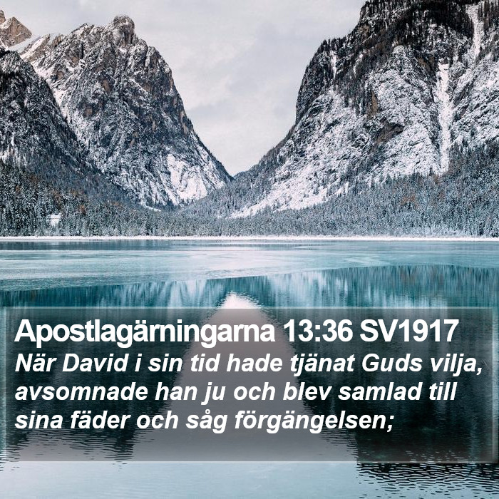 Apostlagärningarna 13:36 SV1917 Bible Study