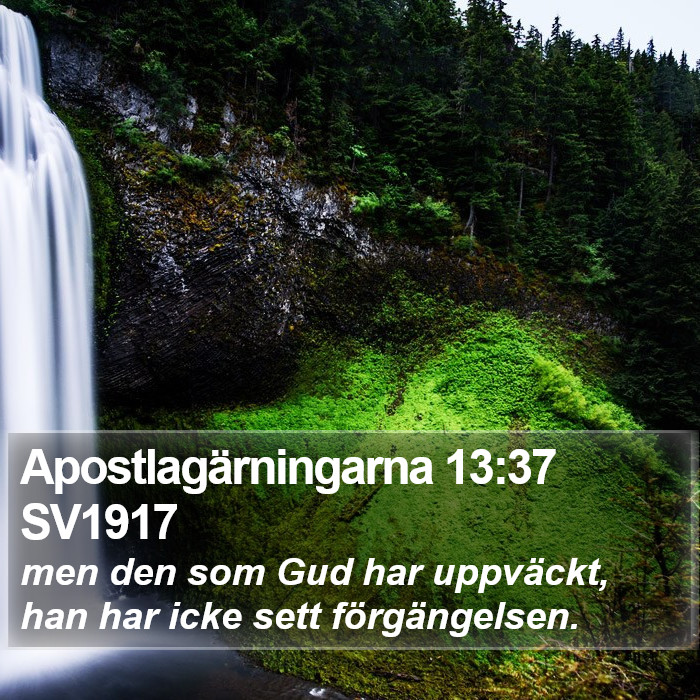 Apostlagärningarna 13:37 SV1917 Bible Study