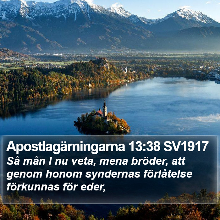 Apostlagärningarna 13:38 SV1917 Bible Study