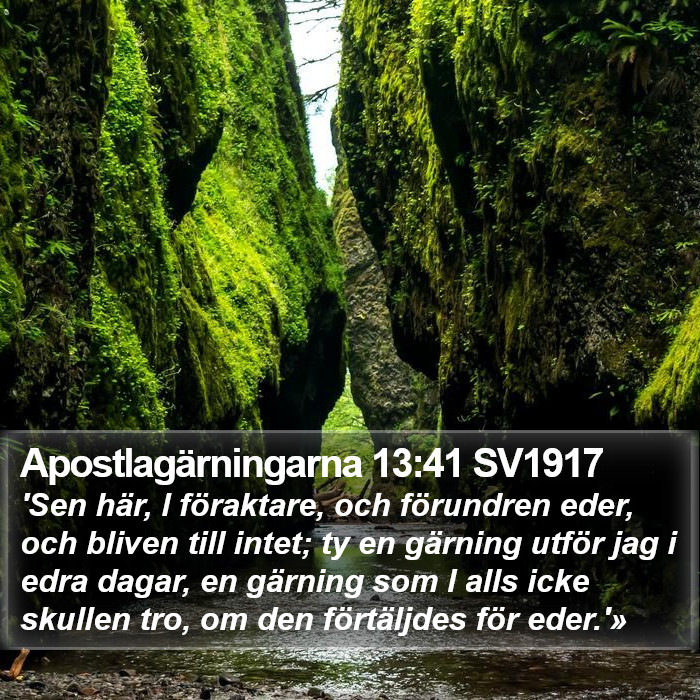 Apostlagärningarna 13:41 SV1917 Bible Study