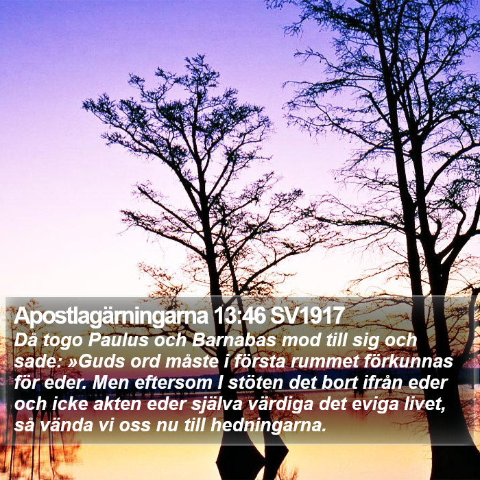 Apostlagärningarna 13:46 SV1917 Bible Study