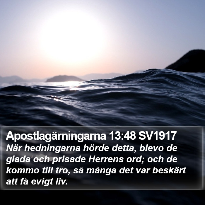 Apostlagärningarna 13:48 SV1917 Bible Study