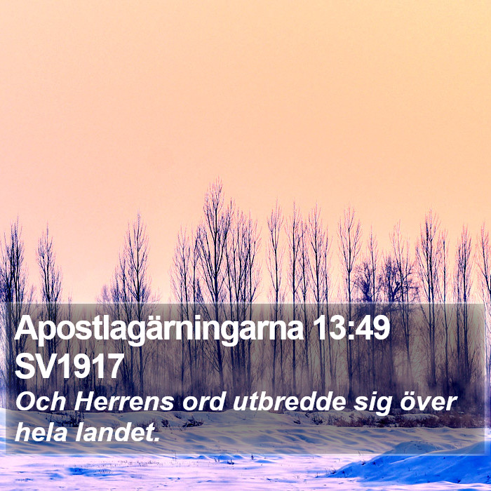 Apostlagärningarna 13:49 SV1917 Bible Study