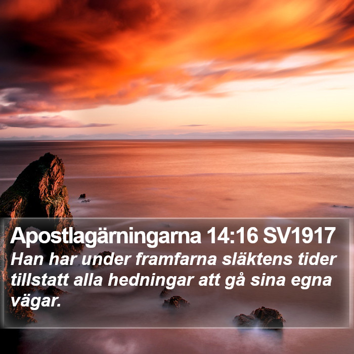 Apostlagärningarna 14:16 SV1917 Bible Study