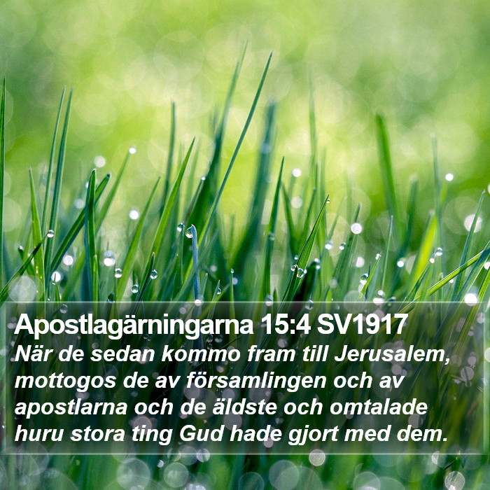 Apostlagärningarna 15:4 SV1917 Bible Study