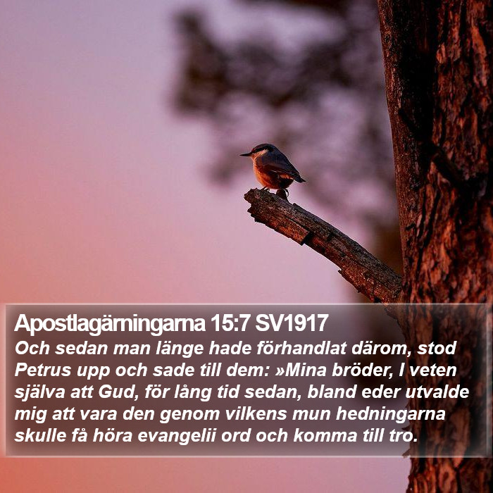 Apostlagärningarna 15:7 SV1917 Bible Study