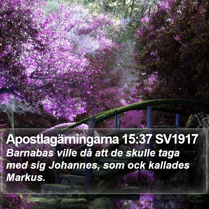 Apostlagärningarna 15:37 SV1917 Bible Study