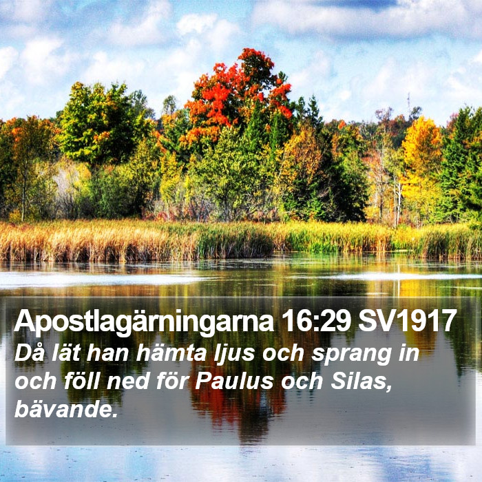 Apostlagärningarna 16:29 SV1917 Bible Study