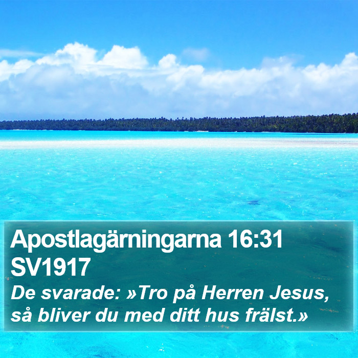 Apostlagärningarna 16:31 SV1917 Bible Study