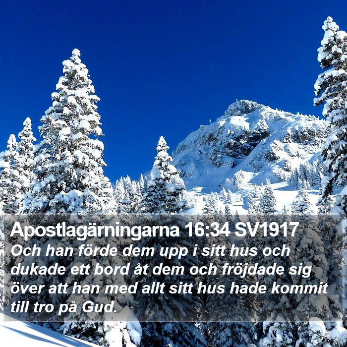 Apostlagärningarna 16:34 SV1917 Bible Study