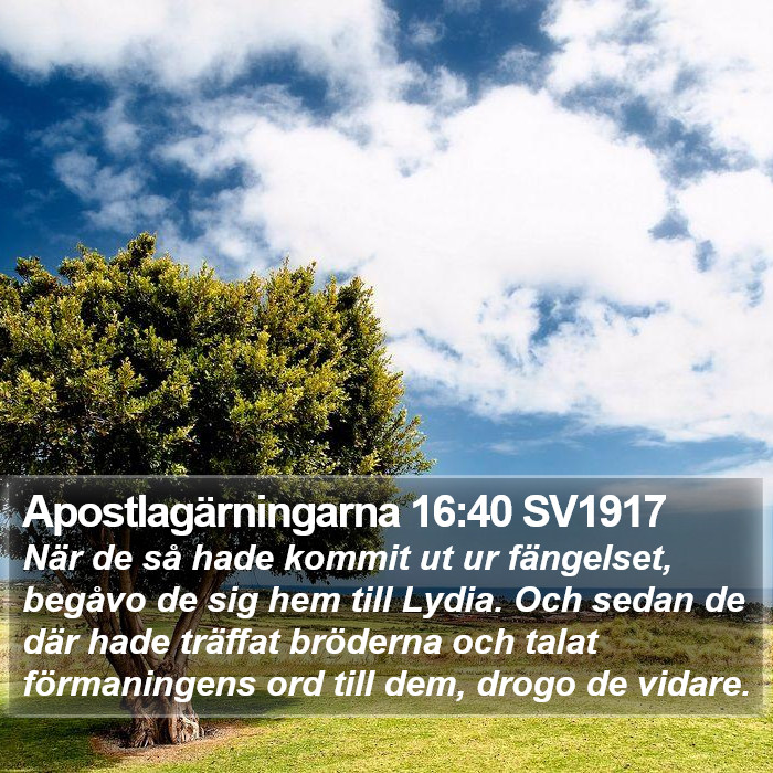 Apostlagärningarna 16:40 SV1917 Bible Study