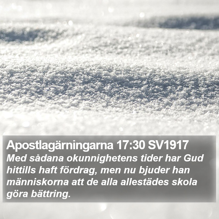 Apostlagärningarna 17:30 SV1917 Bible Study