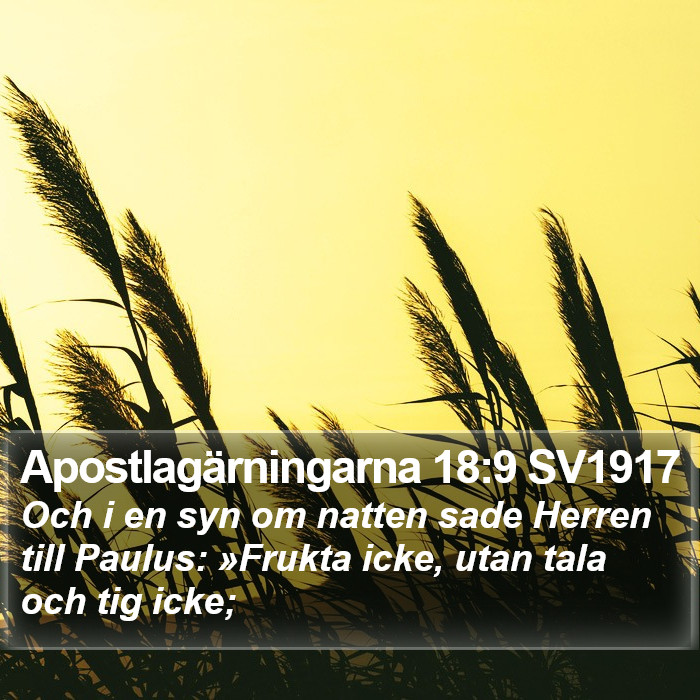 Apostlagärningarna 18:9 SV1917 Bible Study