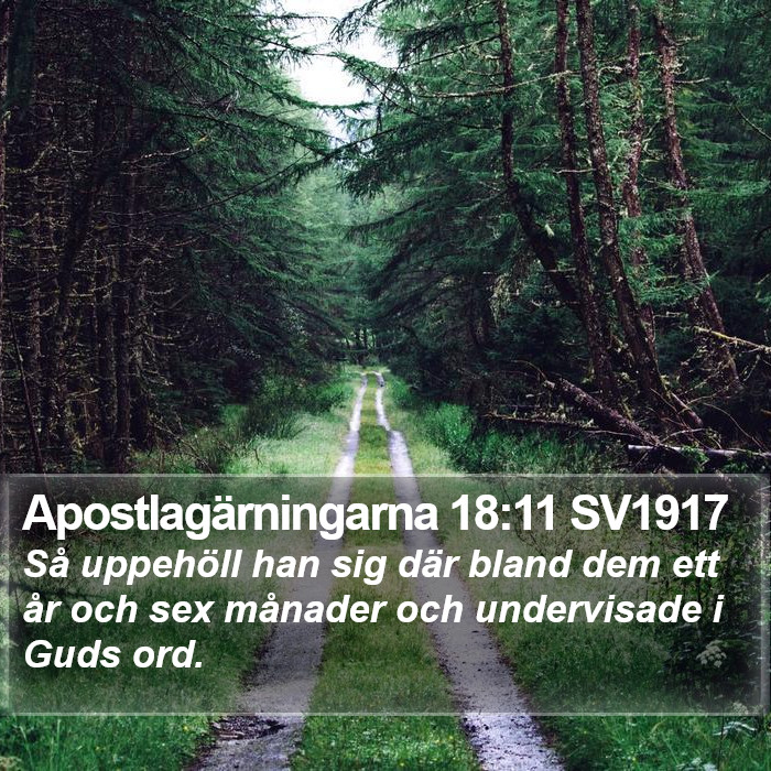 Apostlagärningarna 18:11 SV1917 Bible Study