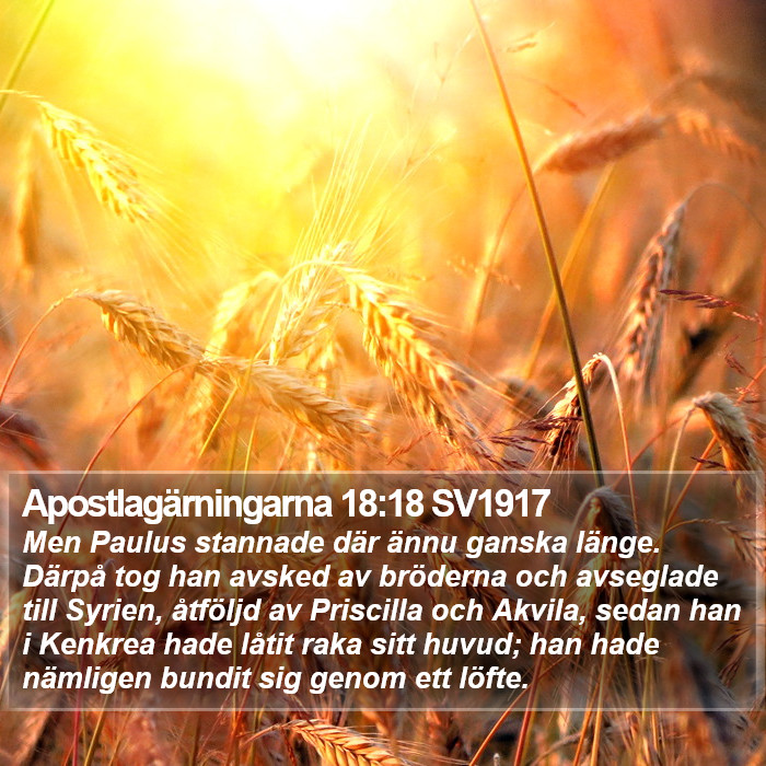 Apostlagärningarna 18:18 SV1917 Bible Study