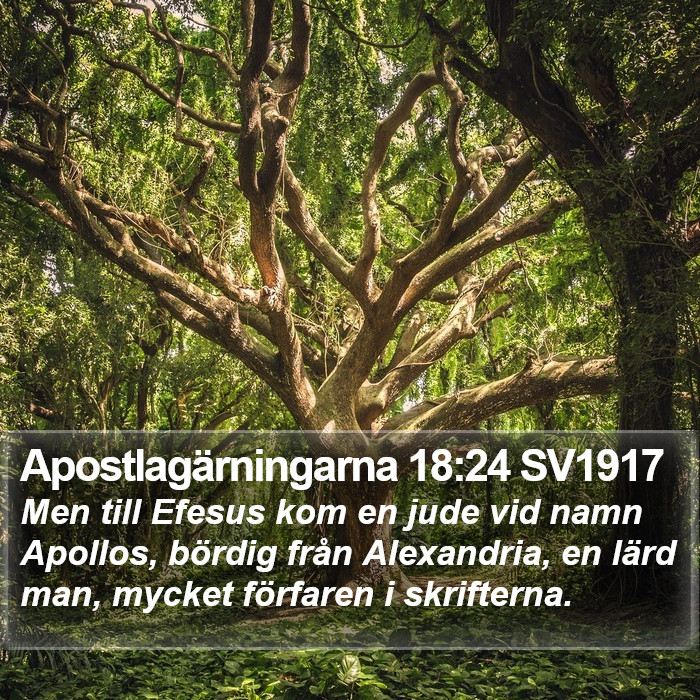 Apostlagärningarna 18:24 SV1917 Bible Study