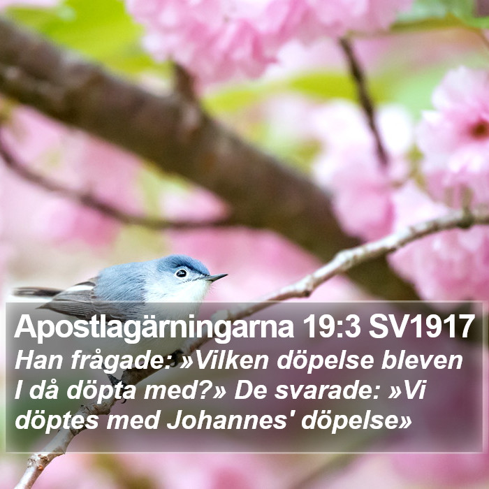 Apostlagärningarna 19:3 SV1917 Bible Study