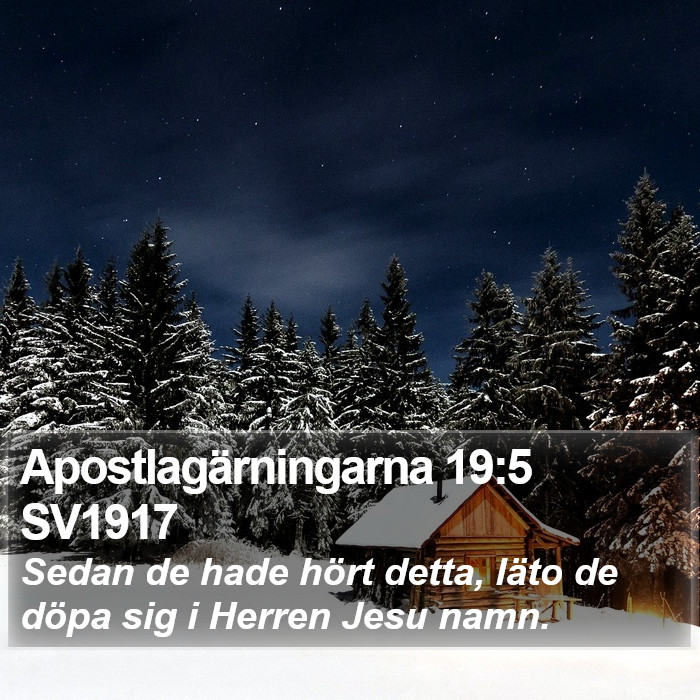 Apostlagärningarna 19:5 SV1917 Bible Study