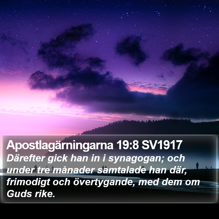 Apostlagärningarna 19:8 SV1917 Bible Study