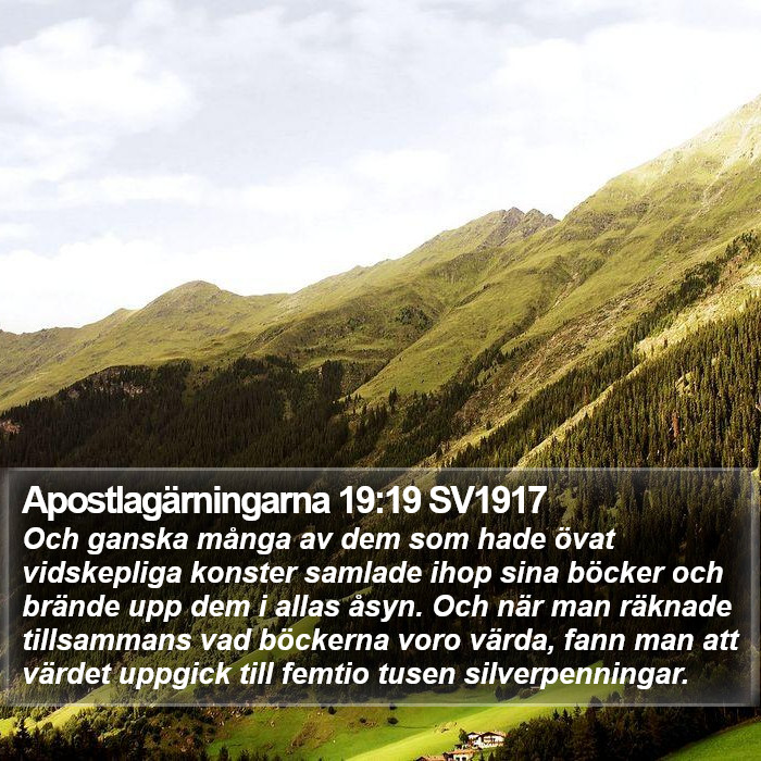 Apostlagärningarna 19:19 SV1917 Bible Study