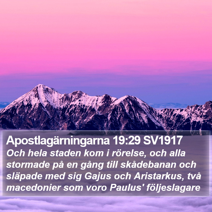 Apostlagärningarna 19:29 SV1917 Bible Study