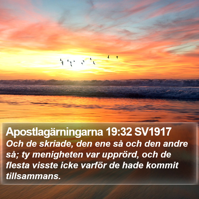 Apostlagärningarna 19:32 SV1917 Bible Study