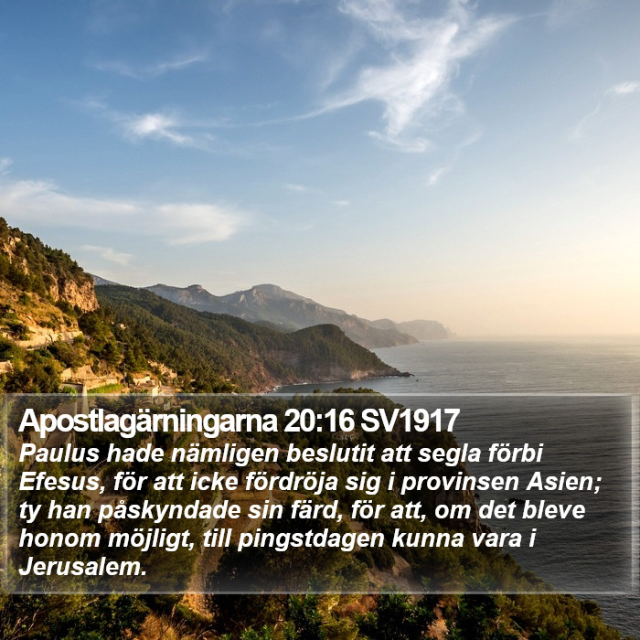 Apostlagärningarna 20:16 SV1917 Bible Study