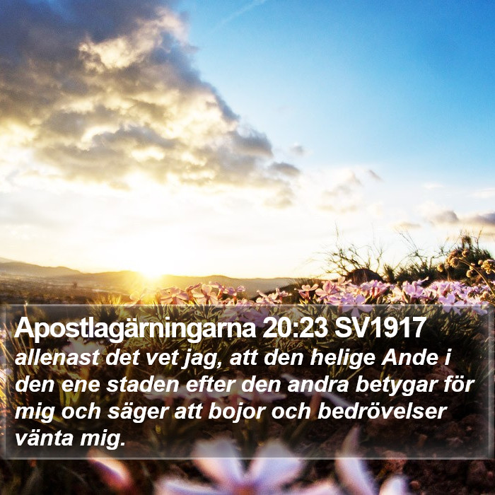 Apostlagärningarna 20:23 SV1917 Bible Study