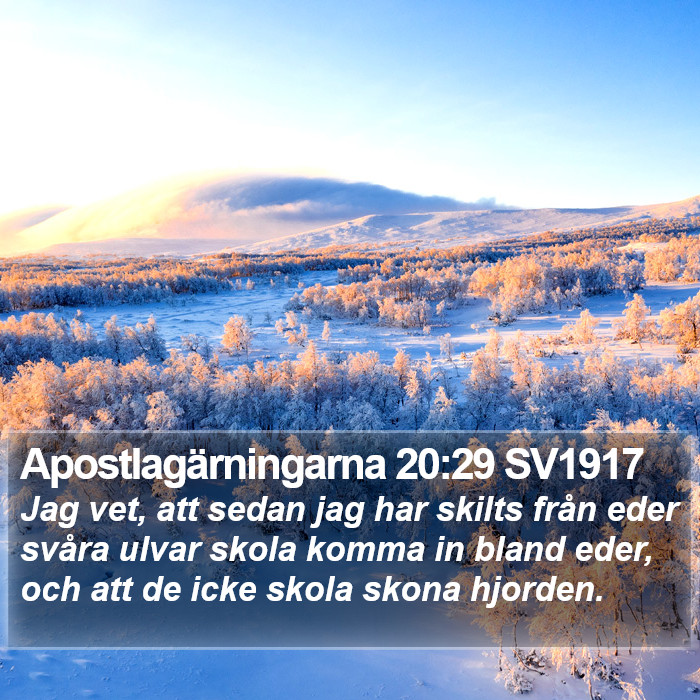 Apostlagärningarna 20:29 SV1917 Bible Study